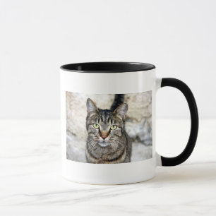 Ägypten Cat Tasse