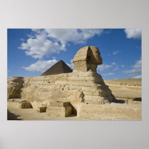 Ägypten, Giza. Die große Sphynx erhebt sich über d Poster