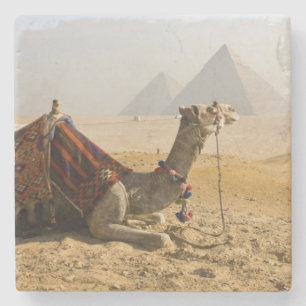 Ägypten, Kairo. Ein einsames Kamel Steinuntersetzer