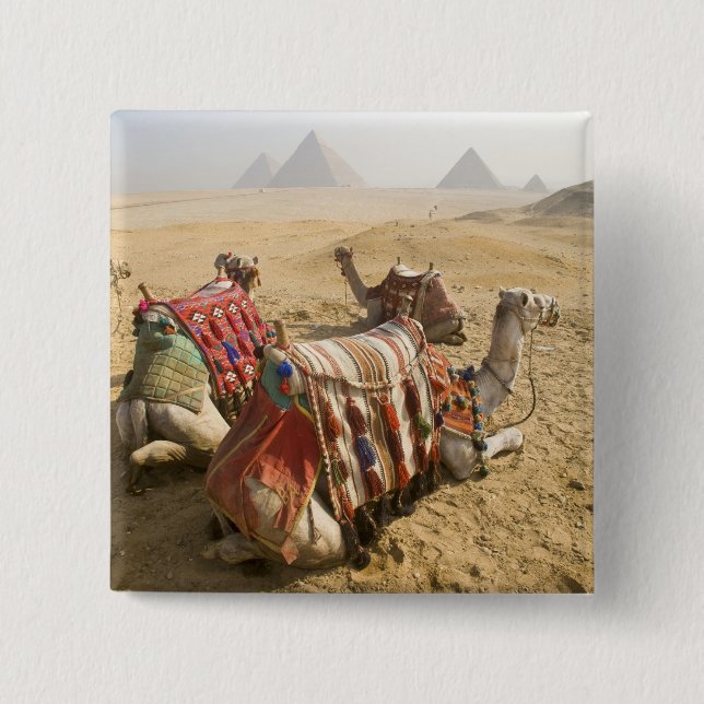Ägypten, Kairo. Ruderkamele Button (Vorderseite)