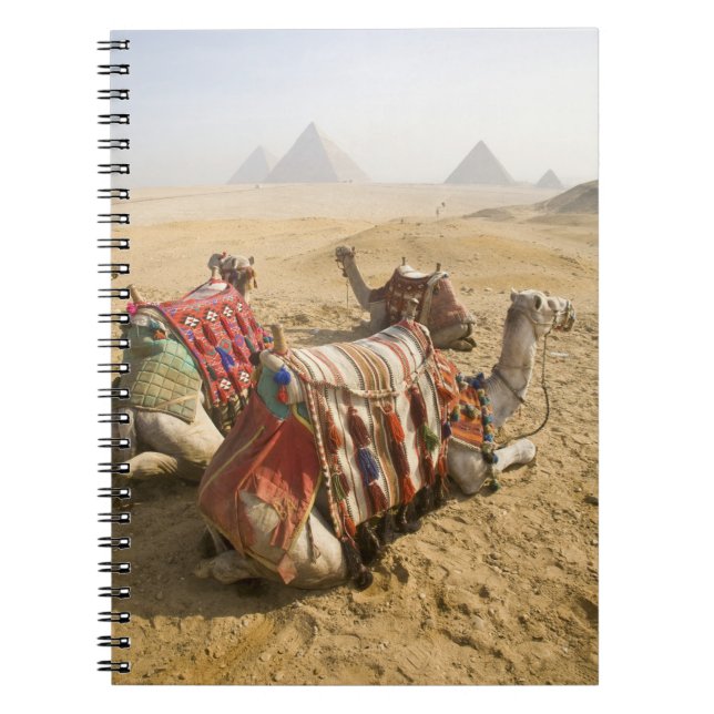 Ägypten, Kairo. Ruderkamele Notizblock (Vorderseite)