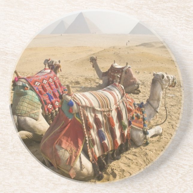 Ägypten, Kairo. Ruderkamele Sandstein Untersetzer (Vorne)