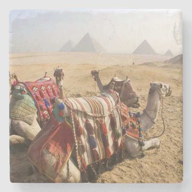 Ägypten, Kairo. Ruderkamele Steinuntersetzer (Vorderseite)