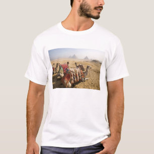 Ägypten, Kairo. Ruderkamele T-Shirt