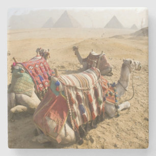 Ägypten, Kairo. Ruhende Kamele Steinuntersetzer