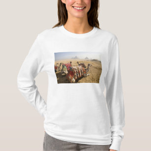Ägypten, Kairo. Ruhende Kamele T-Shirt