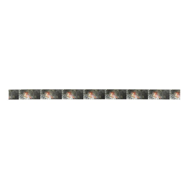 Ägypten-Kunst Satinband (Vorderseite)