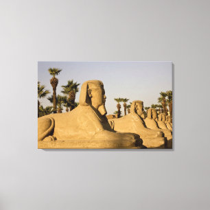 Ägypten, Luxor. Die Sphinxallee führt zu Leinwanddruck