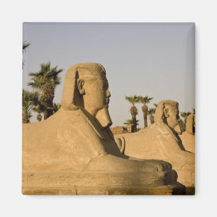 Ägypten, Luxor. Die Sphinxallee führt zu Magnet