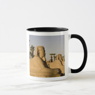 Ägypten, Luxor. Die Sphinxallee führt zu Tasse