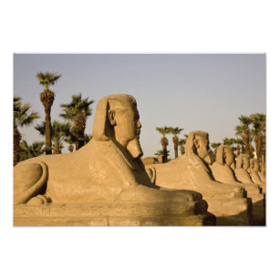 Ägypten, Luxor. Die Straße der Sphinxen führt z Fotodruck