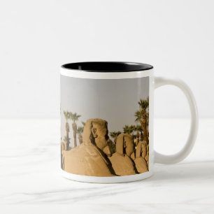 Ägypten, Luxor. Die Straße der Sphinxen führt z Zweifarbige Tasse