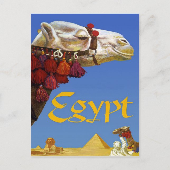 Ägypten Postkarte (Vorderseite)