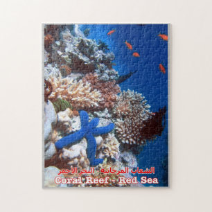 Ägypten - Rotes Meer - Barrier Reef -