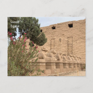 Ägypten, Tempel von Karnak, Luxor. Postkarte
