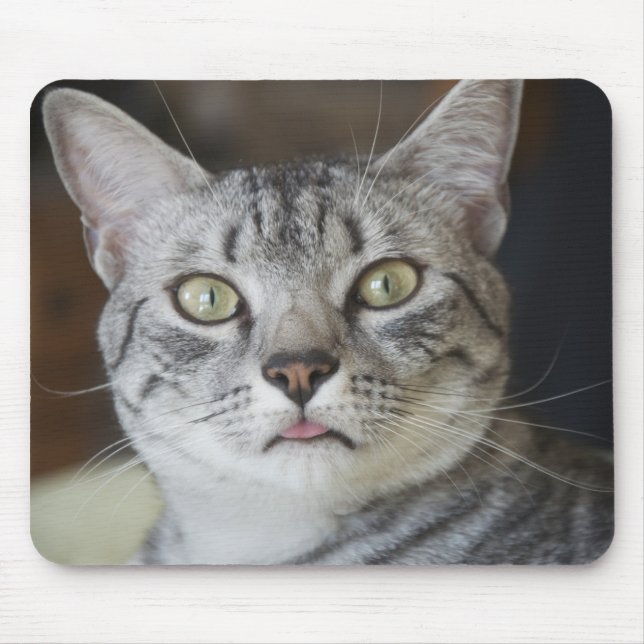 Ägypter Mau Katzen-Mausunterlage Mousepad (Vorne)