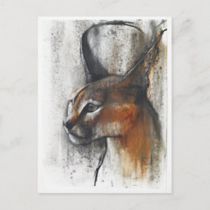 ägyptisch postkarte