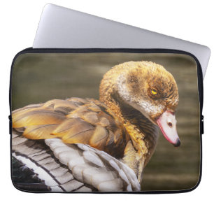 Ägyptische Gans Nahaufnahme Wildlife Vogel Natur K Laptopschutzhülle