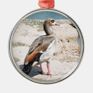 Ägyptische Gans Ornament Aus Metall