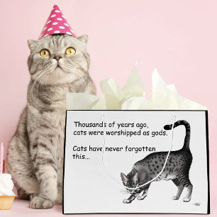 Ägyptische Gray Tabby Cat Große Geschenktüte