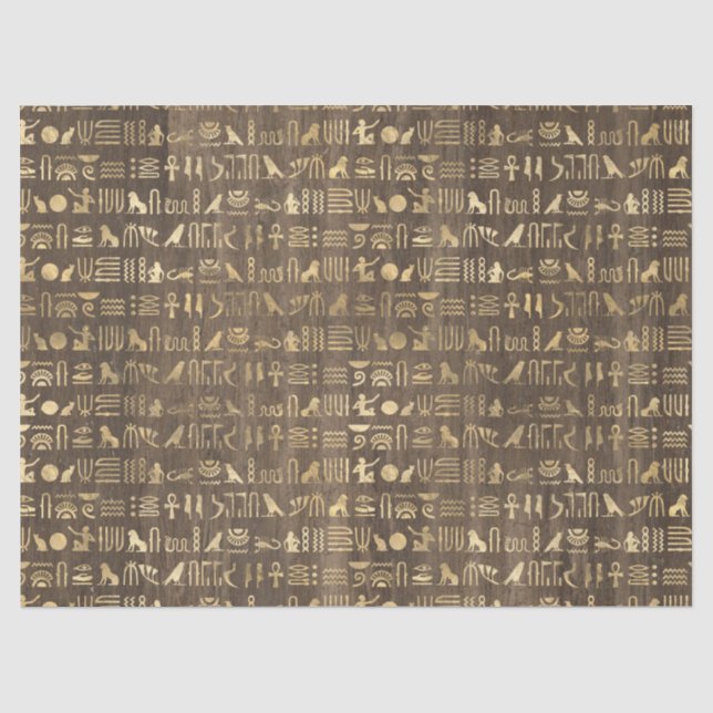 Ägyptische Hieroglyphen aus Gold auf der Braunseit Seidenpapier (Vorderseite)
