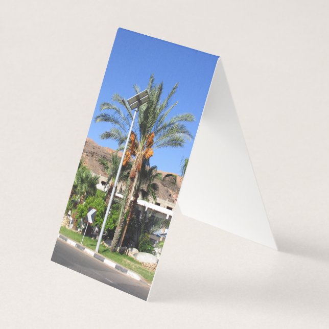 Ägyptische Palmen (Vorderseite)