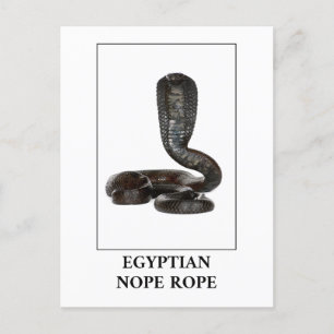 Ägyptischer Nope - Cobra-Schlangen-Gefahr Postkarte
