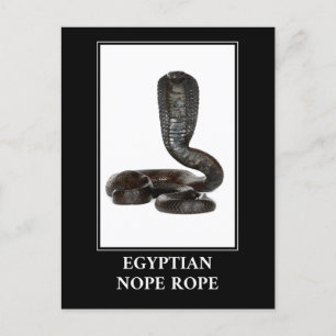 Ägyptischer Nope - Cobra-Schlangen-Gefahr Postkarte