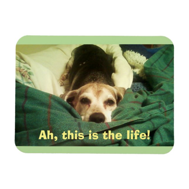 "Ah, das ist das Leben!" Beagle 3x4 Kühlschrankmag Magnet (Horizontal)