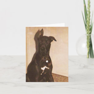 AH Karten des Dogge-Hund- Notecards oder Gruß