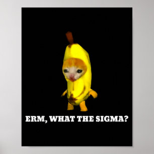 Äh, Was Sigma_ Katzen-Meme Männer Frauen Mädchen K Poster