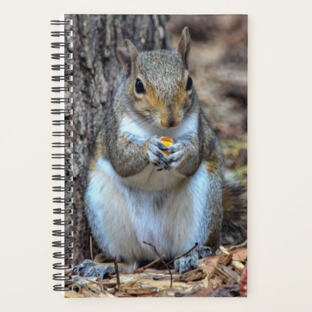 Ahhh... C'est le dîner (Devant)