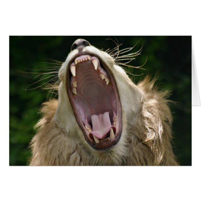 ahhh sagen (Vorderseite (Horizontal))