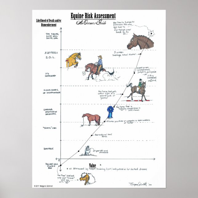 ÄHNLICHES POster zur Bewertung des Risikos von Equ (Vorne)