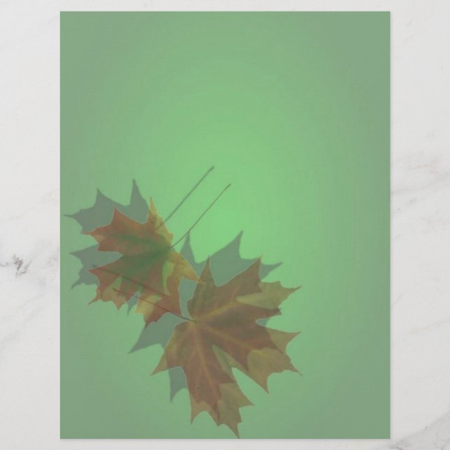 Ahorn-Blätter Flyer (Vorne)