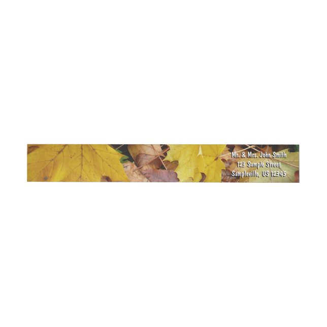Ahorn-Blätter Gelbe Herbstnatur (Person)