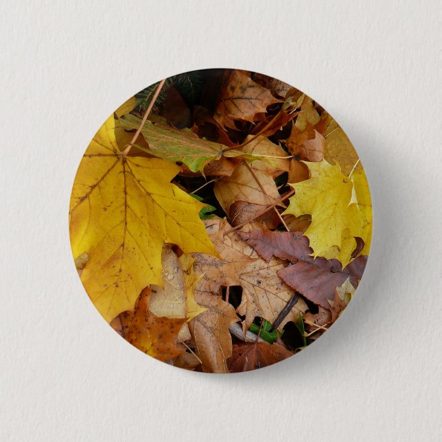 Ahorn-Blätter Gelbe Herbstnatur Button (Vorderseite)