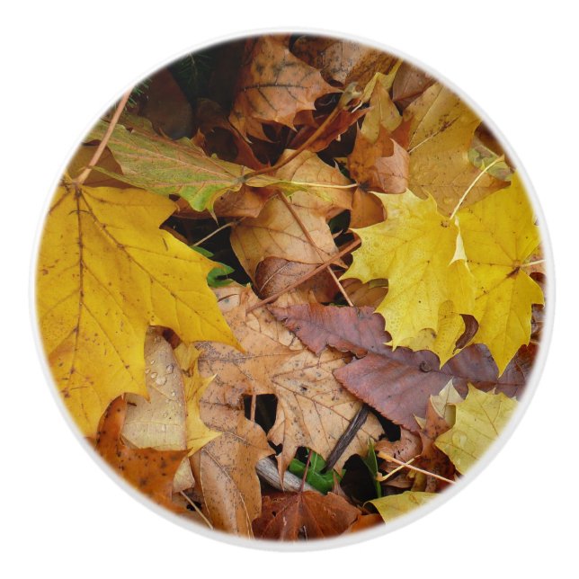 Ahorn-Blätter Gelbe Herbstnatur Keramikknauf (Vorderseite)