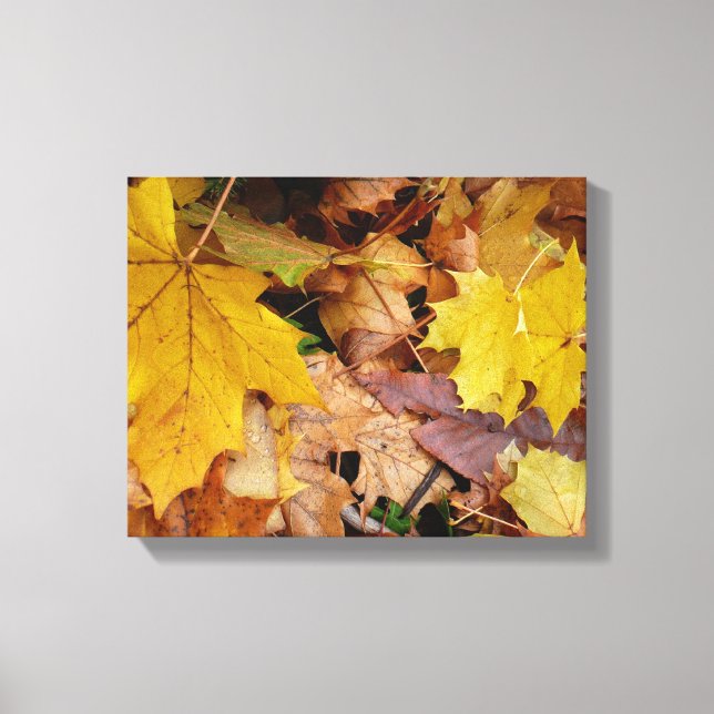 Ahorn-Blätter Gelbe Herbstnatur Leinwanddruck (Vorderseite)