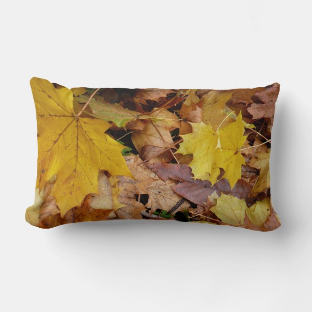 Ahorn-Blätter Gelbe Herbstnatur Lendenkissen (Vorderseite)