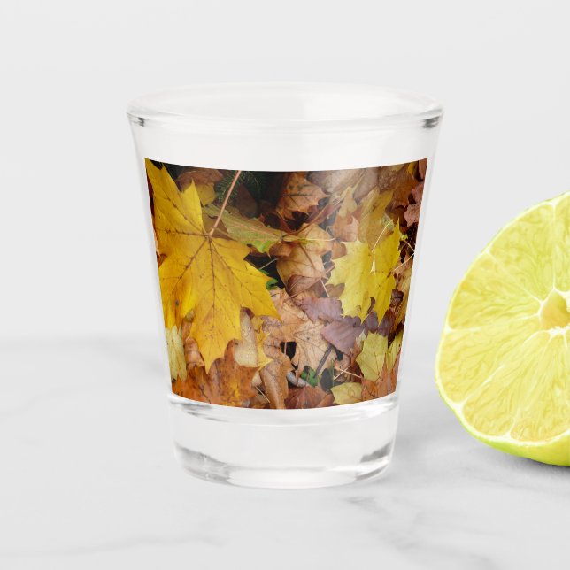 Ahorn-Blätter Gelbe Herbstnatur Schnapsglas (Vorderseite)