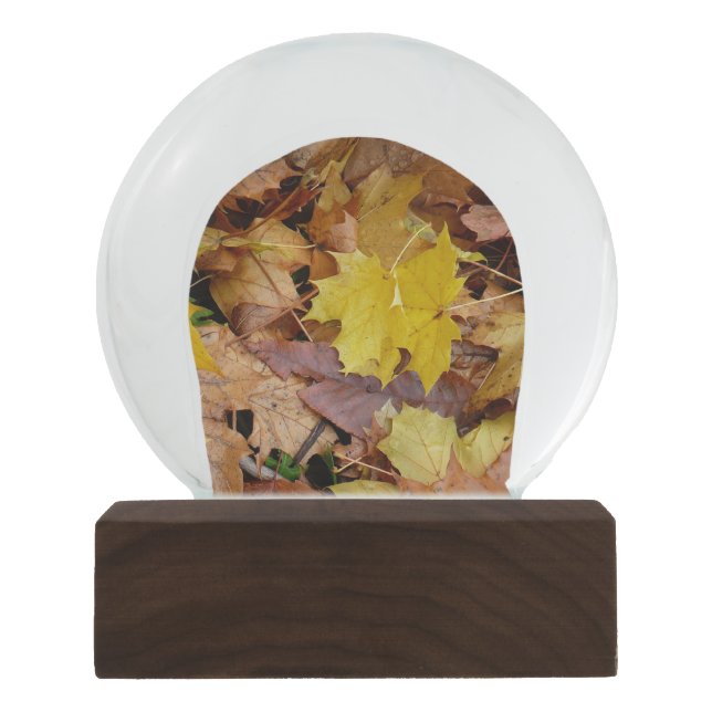 Ahorn-Blätter Gelbe Herbstnatur Schneekugel (Vorderseite)