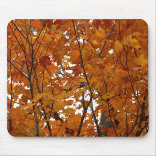 Ahorn-Blätter in den Herbstzweigen Mousepad