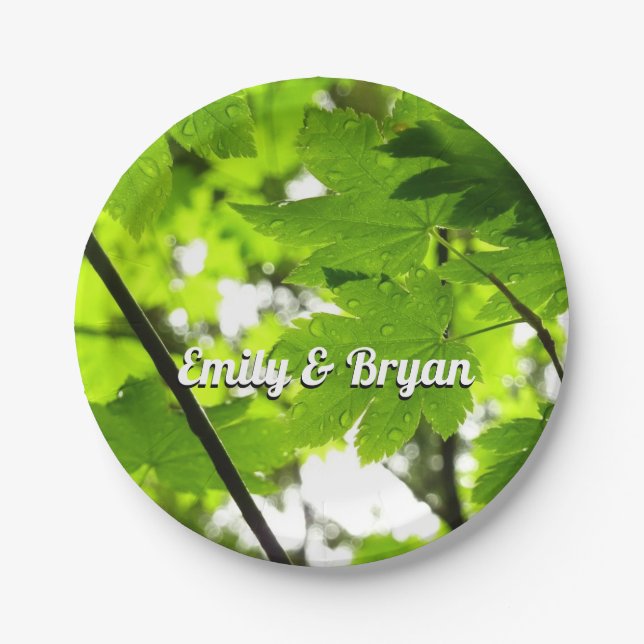 Ahorn-Blätter mit Regentropfen Pappteller (Vorderseite)