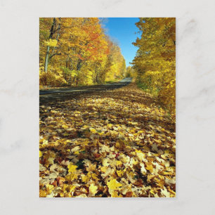 Ahorn-Blätter und Fortune Parkway, Gatineau Park,  Postkarte