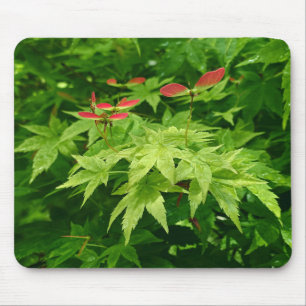 Ahorn im Frühling Mousepad
