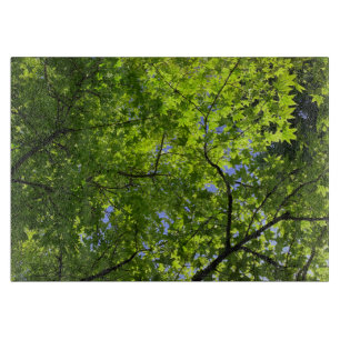 Ahorn im Frühling Schneidebrett