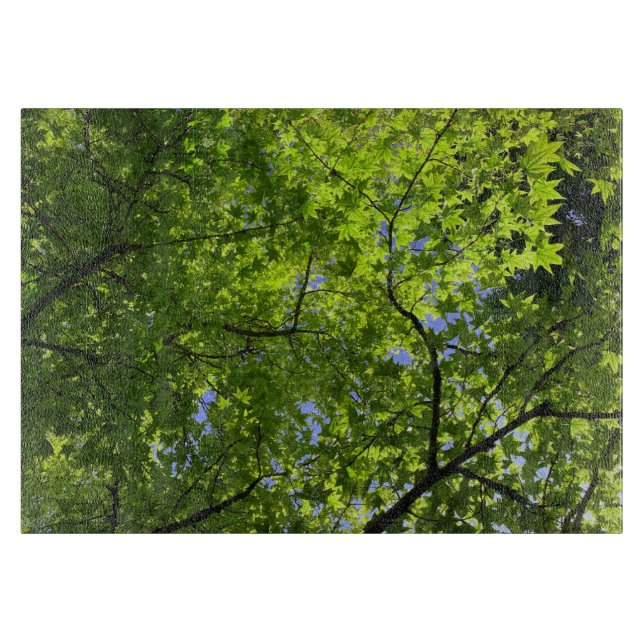 Ahorn im Frühling Schneidebrett (Vorderseite)