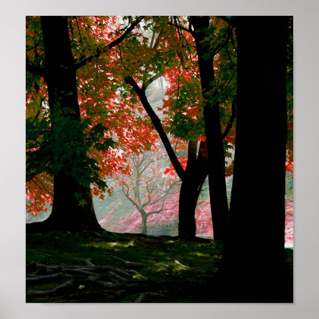 Ahorn Poster (Vorne)