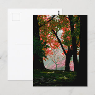 Ahorn Postkarte